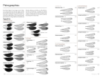 Cahier d'identification des libellules, nouvelle édition