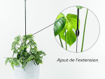 Tuteur de plante Couple d'hirondelles