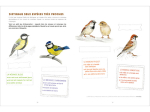 Mon cahier d'observation et d'activités, les Oiseaux