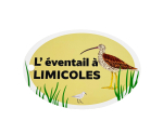 Éventail pédagogique LPO - Identifier les limicoles