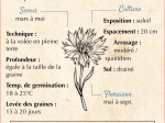 Graines Bio Centaurée Bleuet 