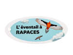 Éventail pédagogique LPO - Identifier les rapaces