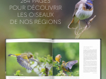 Extraordinaires oiseaux