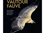 Le Vautour fauve