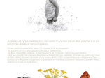 Prairies