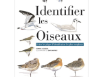 Identifier les oiseaux : éviter les pièges les plus complexes