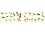 Carte pop-up Mangeoire Oiseaux LPO