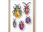 Coléoptères 3D en papier, DIY