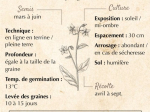 Graines Bio Bourrache officinale