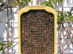 Ruche à insectes Schwegler en roseau