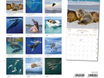 Calendrier 2026 Mammifères marins 30 x 30 cm