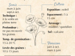 Graines Bio Coquelicot Rouge