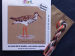 Kit broderie Chevalier Gambette