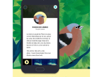 Poster Interactif Birdie Memory