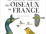 Le Grand album des oiseaux de France