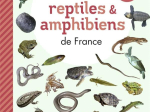 Guide des reptiles et amphibiens de France