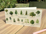 Carte Postale double 21 x 10 cm - Arbres des forêts