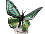 Papillon vert 3D en papier, DIY