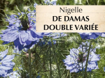 Graines Bio Nigelle de Damas