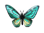 Papillon vert 3D en papier, DIY