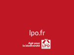 Carnet LPO - Cerf