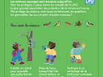 Petit Ours Brun se promène en forêt