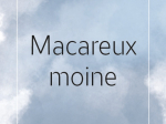 Marque-page LPO Collection littoral Macareux moine