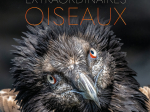 Extraordinaires oiseaux