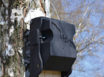 Gîte à chauve-souris Schwegler 3FF avec trappe d'inspection