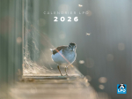 Calendrier LPO 2026 Oiseaux