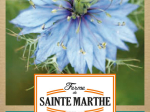 Graines Bio Nigelle de Damas