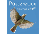 Cahier d'identification des Passereaux d'Europe en Vol