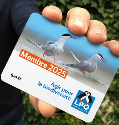 Une adhésion LPO