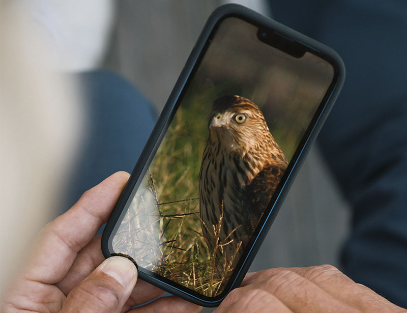 Images enregistrées par l'AX Visio