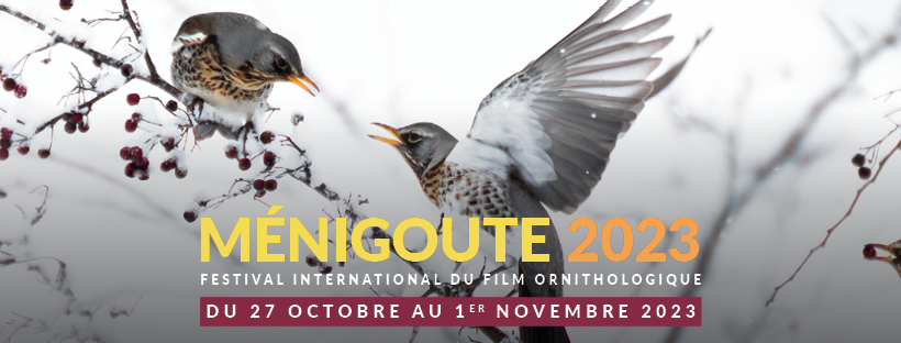 Festival International du Film Ornithologique de Ménigoute 2023
