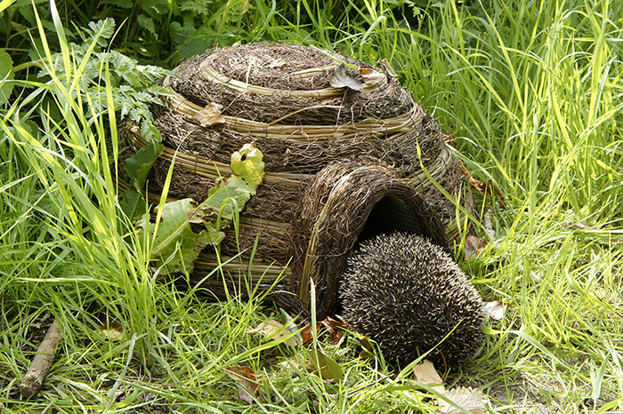Gîte à hérisson installée dans un jardin