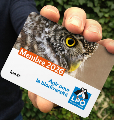 Une adhésion LPO