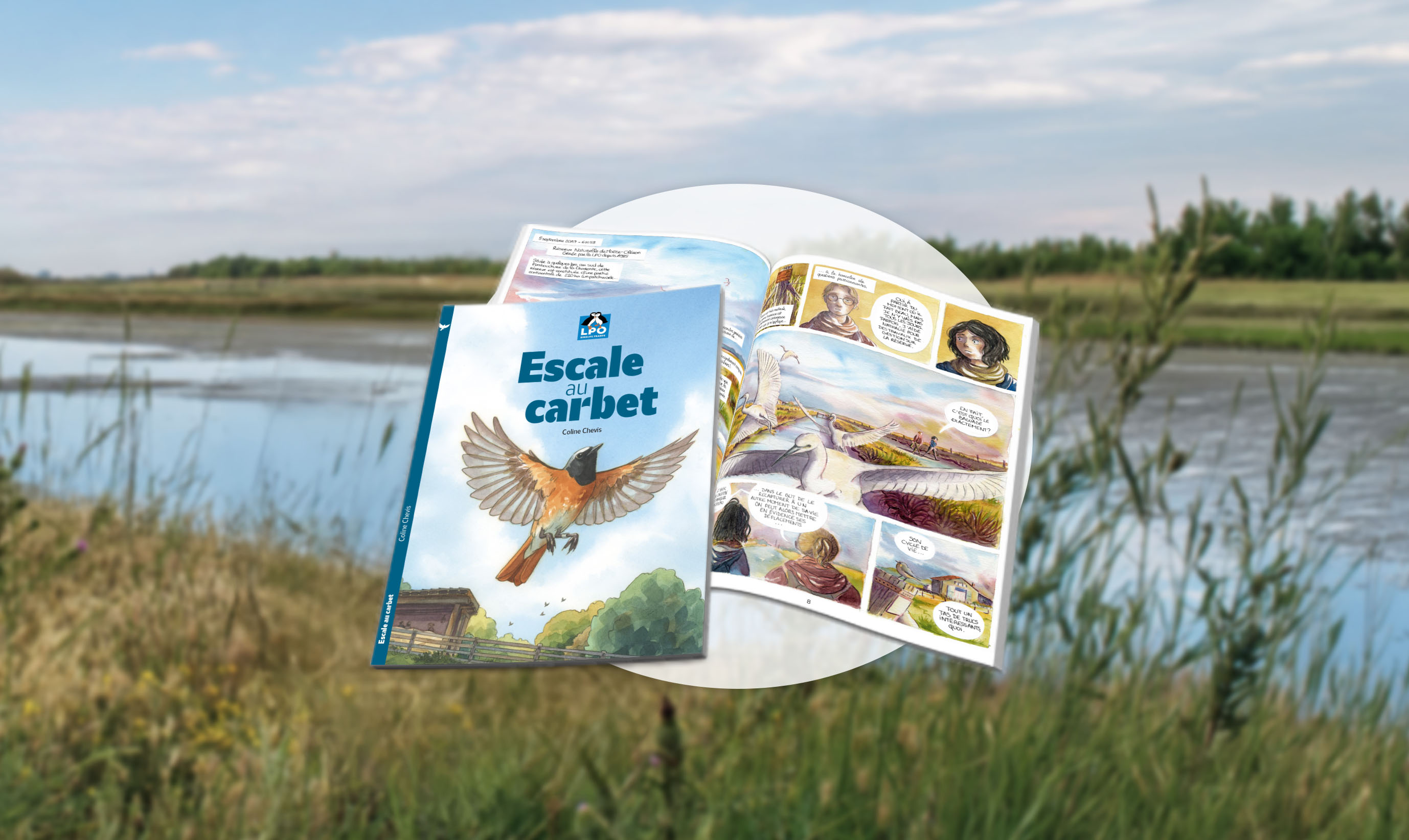 Couverture et pages intérieures bande dessinée Escale au Carbet