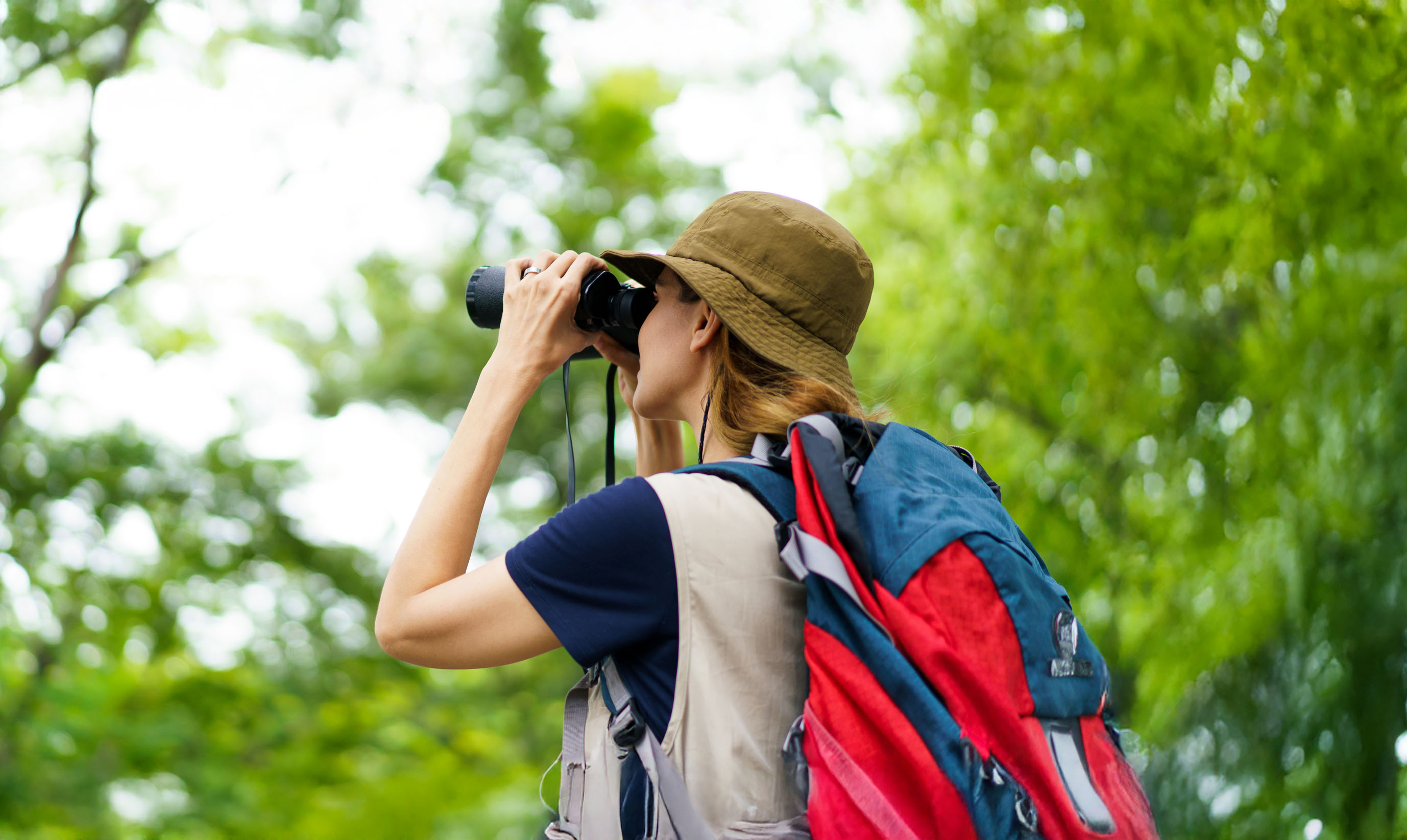 Promotion sur le matériel optique