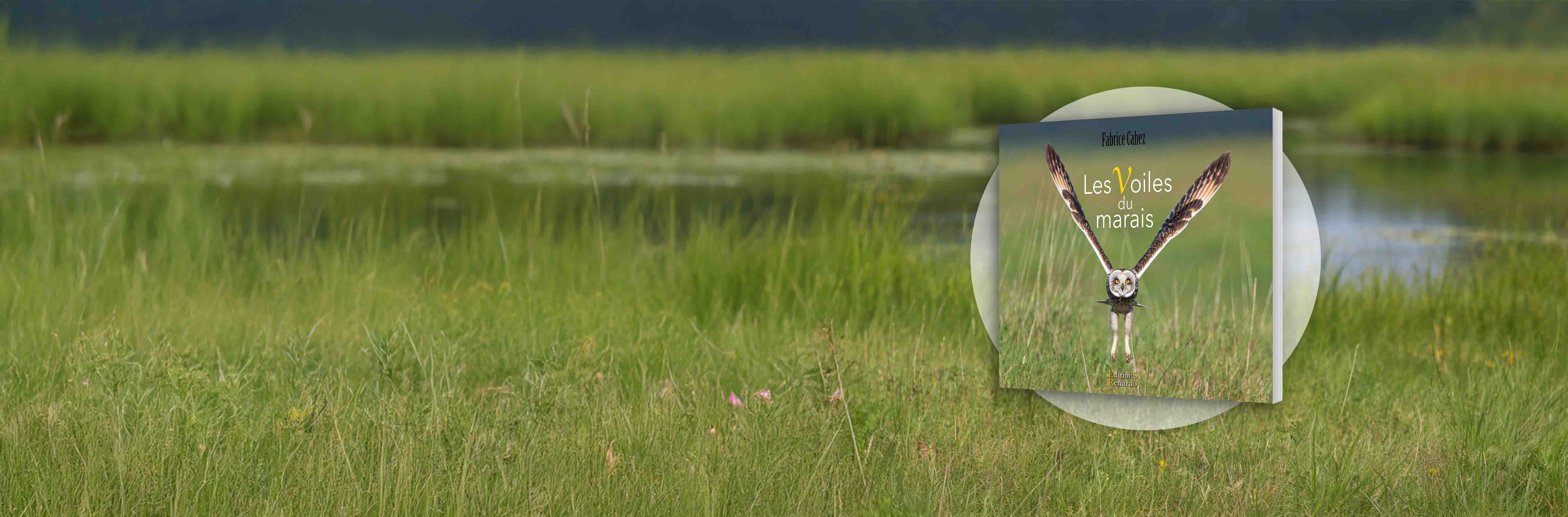 Les Voiles du marais