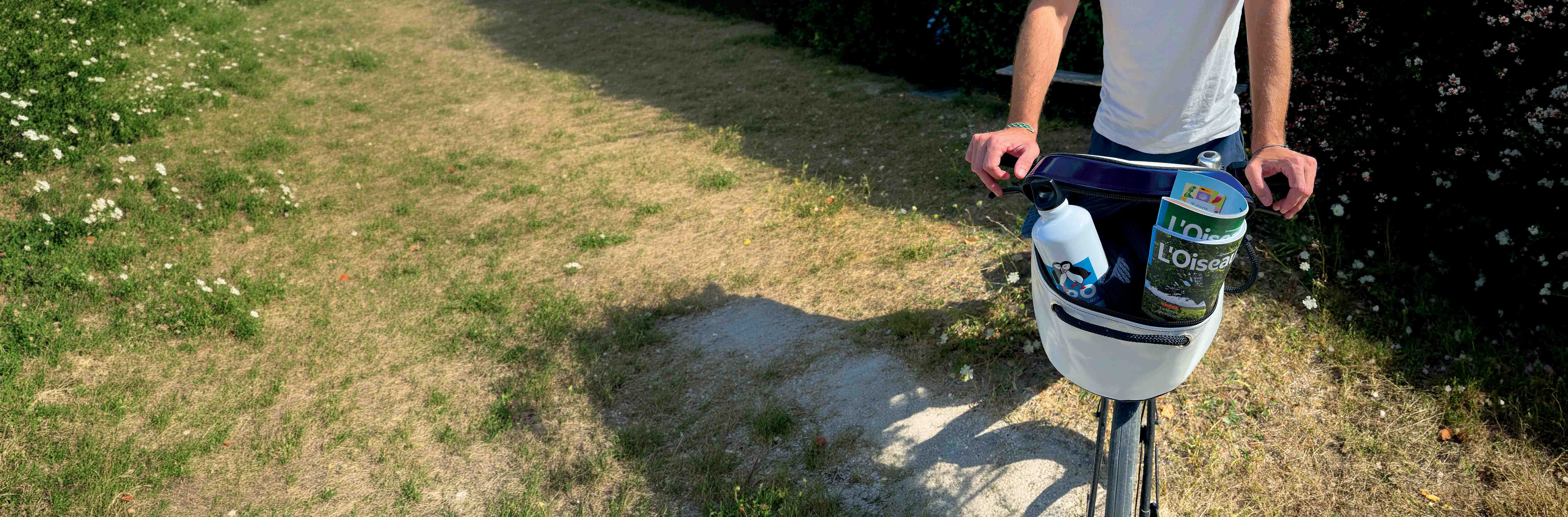 Panier à vélo