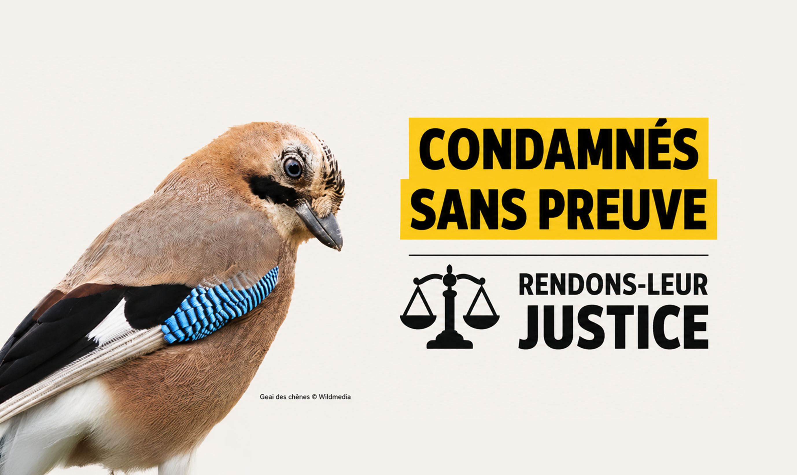 Appel dons condamnés sans preuve