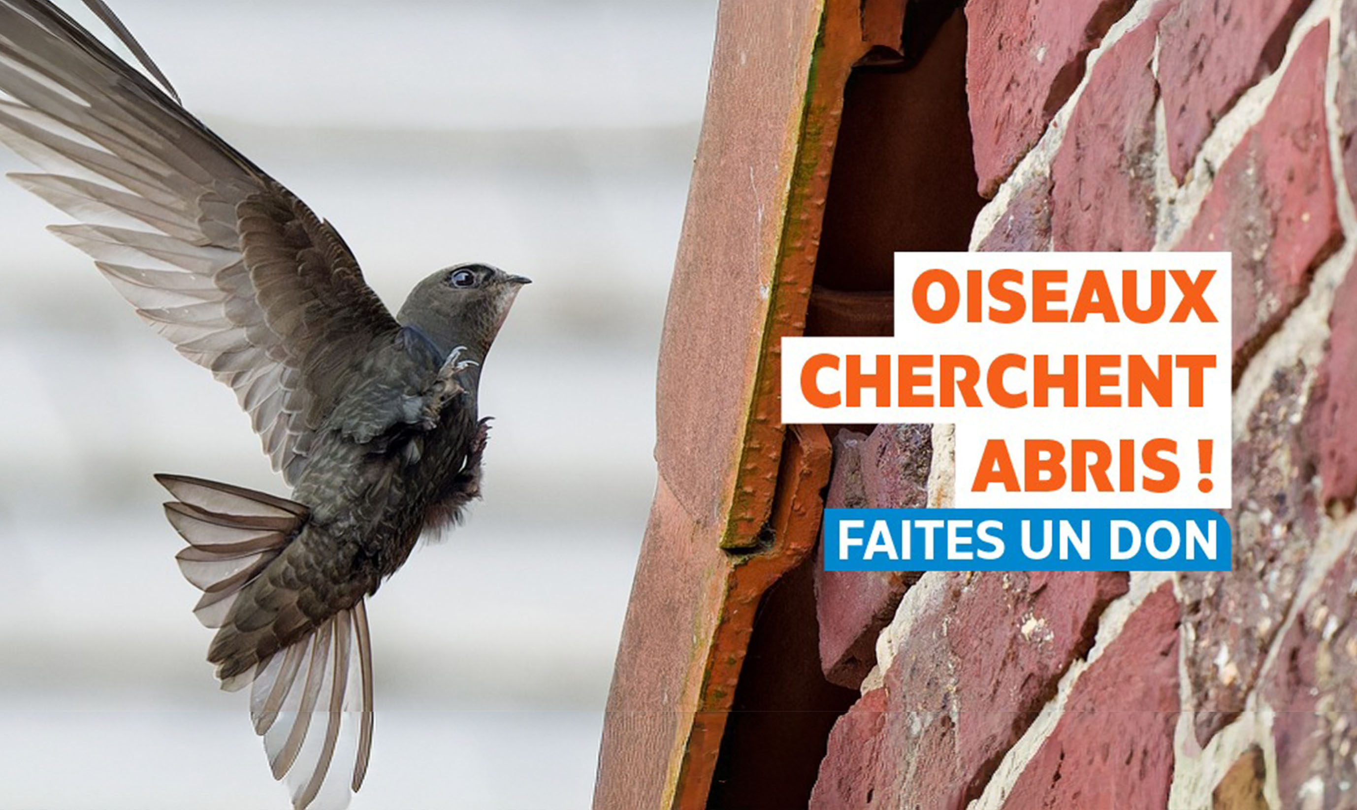 Appel dons espèces du bâti