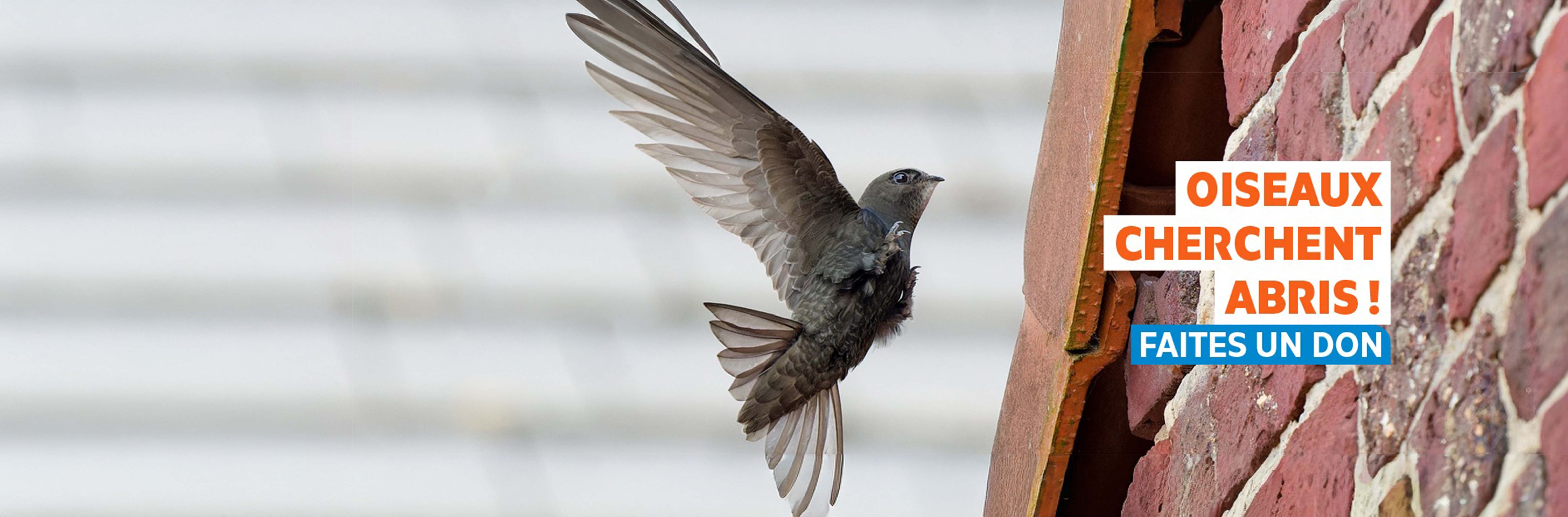 Appel dons espèces du bâti