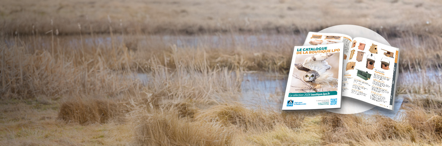 Catalogue boutique LPO 2026